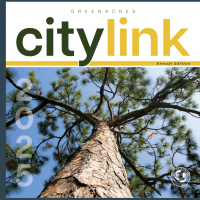2025 City Link Cover Image