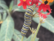 Nature & Wildlife Category Winner | Andrew West | Capture the Beauty of Greenacres 2025