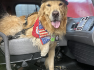 Special Events & Programs Category Winner | Charlene Rothe | Capture the Beauty of Greenacres 2025