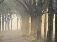 Parks & Landmarks Category Winner | Jenny Apple-Santoro | Capture the Beauty of Greenacres 2025