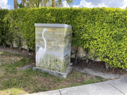 Utility Box Wrapped With Squirrel Image