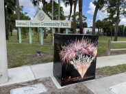 Utility Box Wrapped With Firework Display