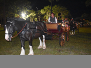 Horse and carriage ride