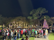 View of the Park