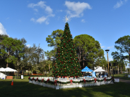 Christmas Tree before the Lighting Ceremony