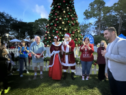 Tree Lighting Ceremony