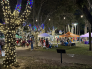 View of the Park lit up