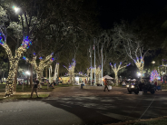 Lighted entrance to the park
