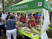 Greenacres Egg'stravaganza books