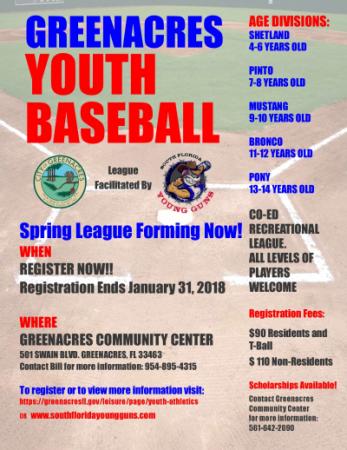 Spring Baseball flyer 